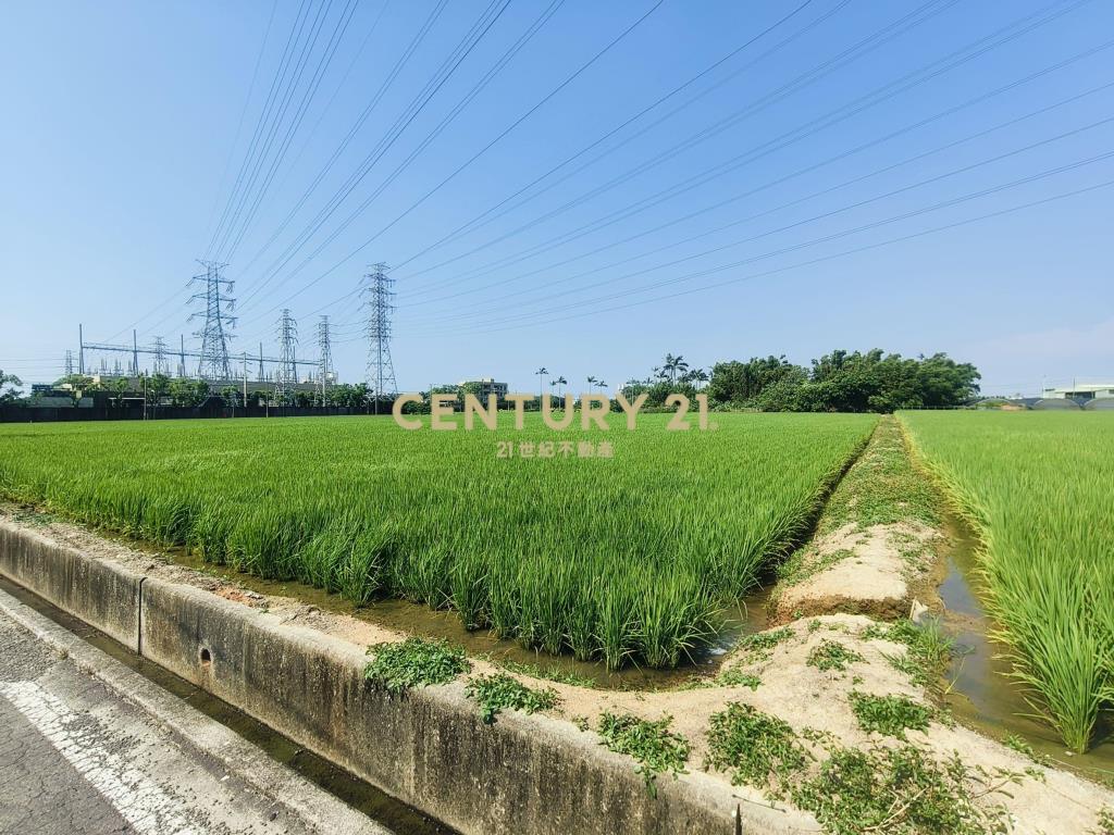 觀音富源段🌳6米路旁~964坪大面寬農