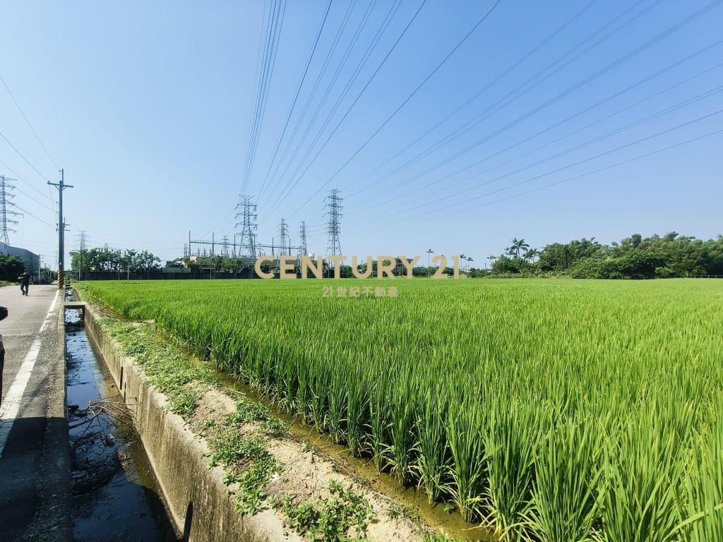 觀音富源段🌳6米路旁~964坪大面寬農