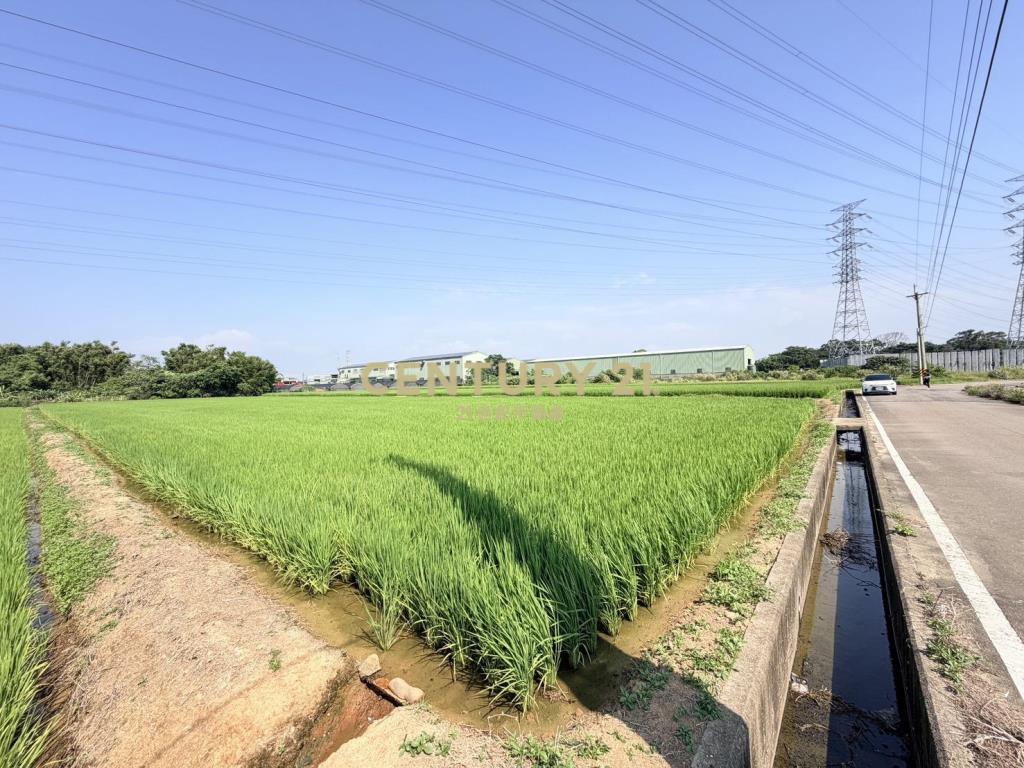 觀音富源段🌳6米路旁~964坪大面寬農