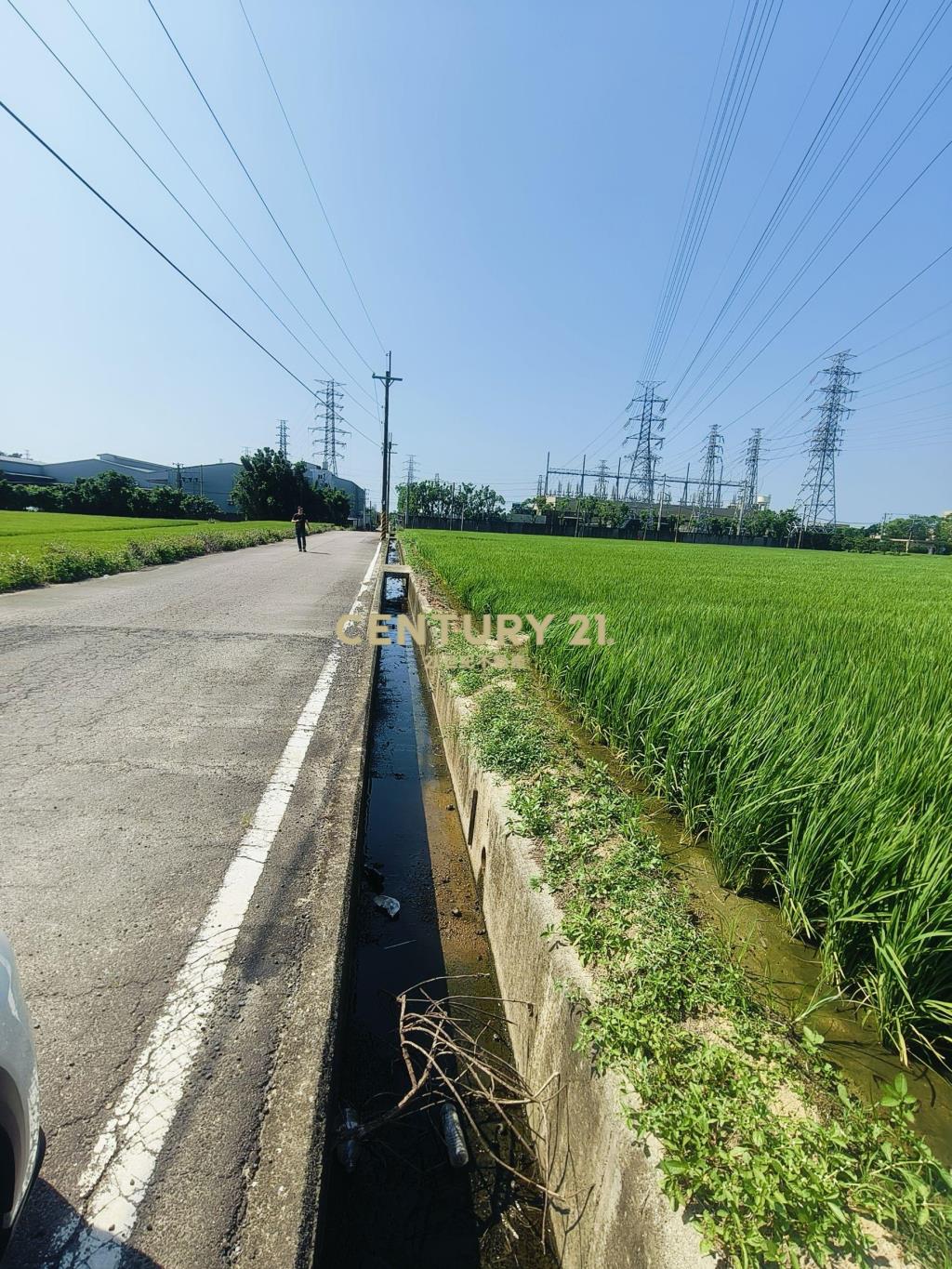 觀音富源段🌳6米路旁~964坪大面寬農