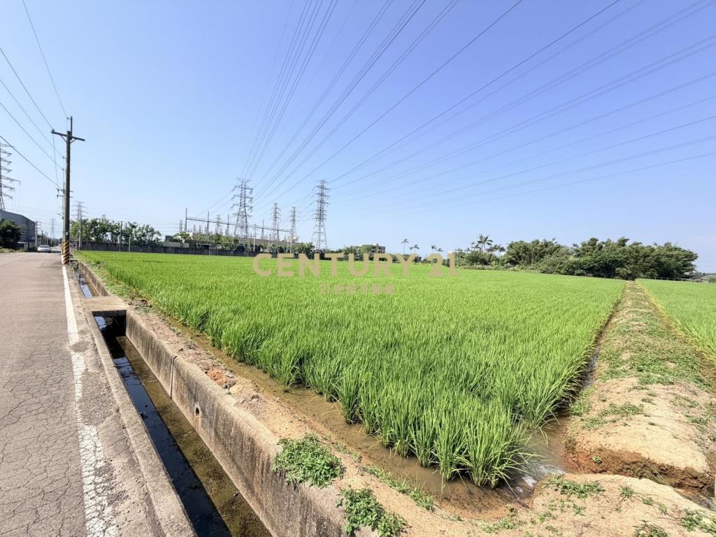 觀音富源段🌳6米路旁~964坪大面寬農