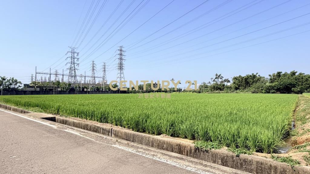 觀音富源段🌳6米路旁~964坪大面寬農