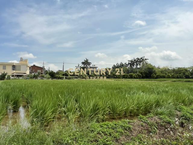楊梅楊湖路三段農地