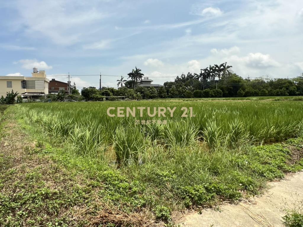 楊梅楊湖路三段農地
