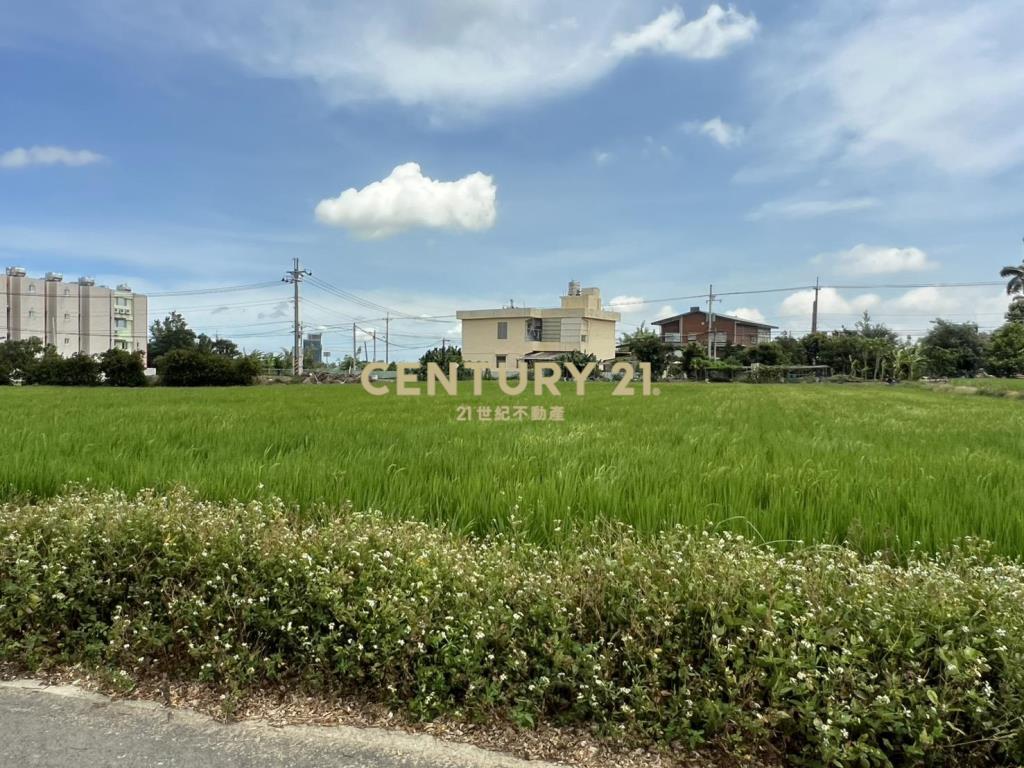 楊梅楊湖路三段農地