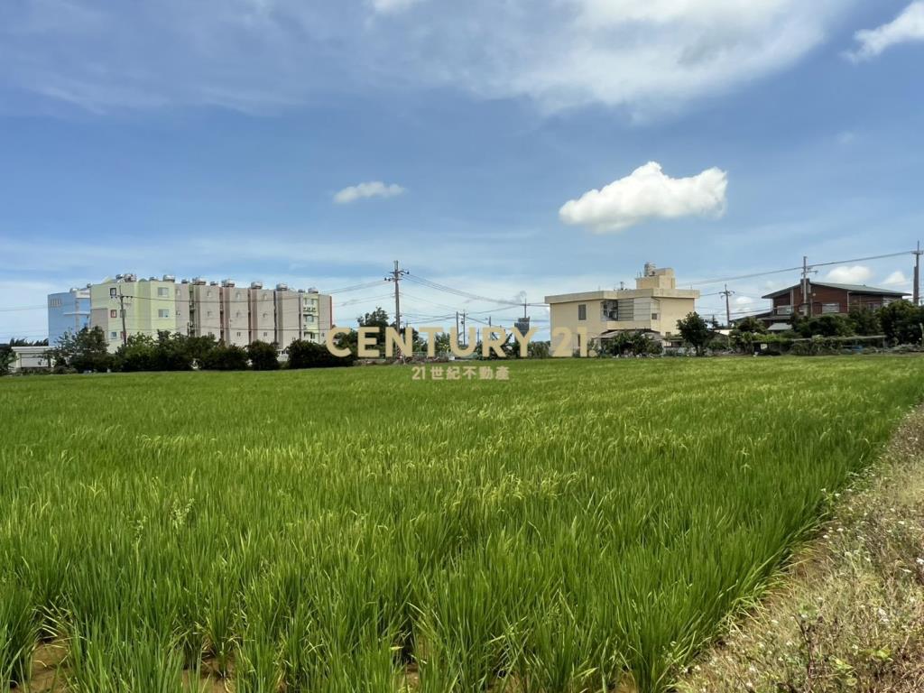 楊梅楊湖路三段農地