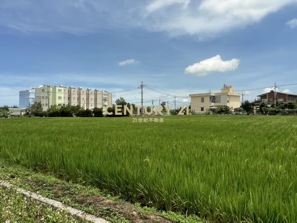 楊梅楊湖路三段農地