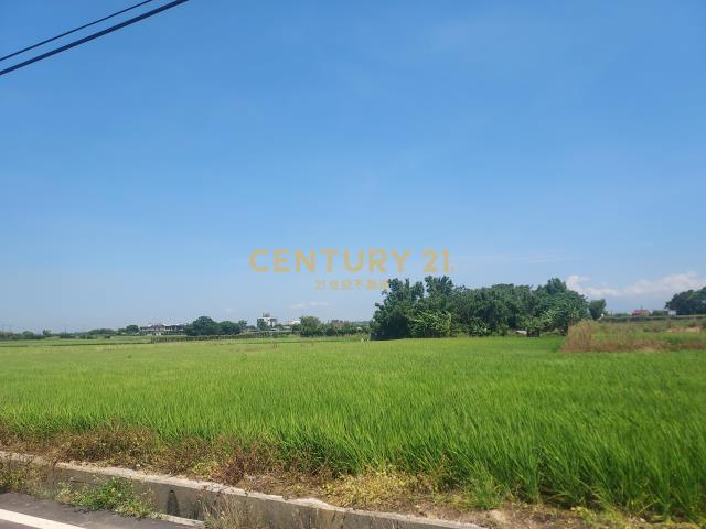 社子國小美農地