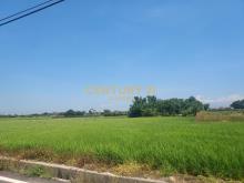 社子國小美農地