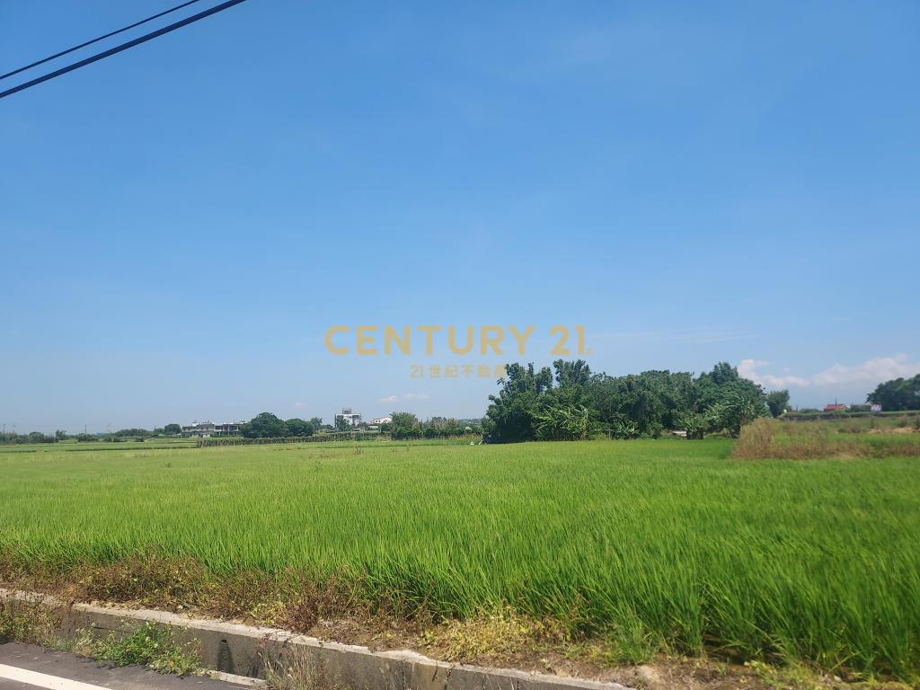 社子國小美農地