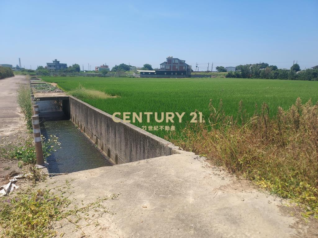 社子國小美農地