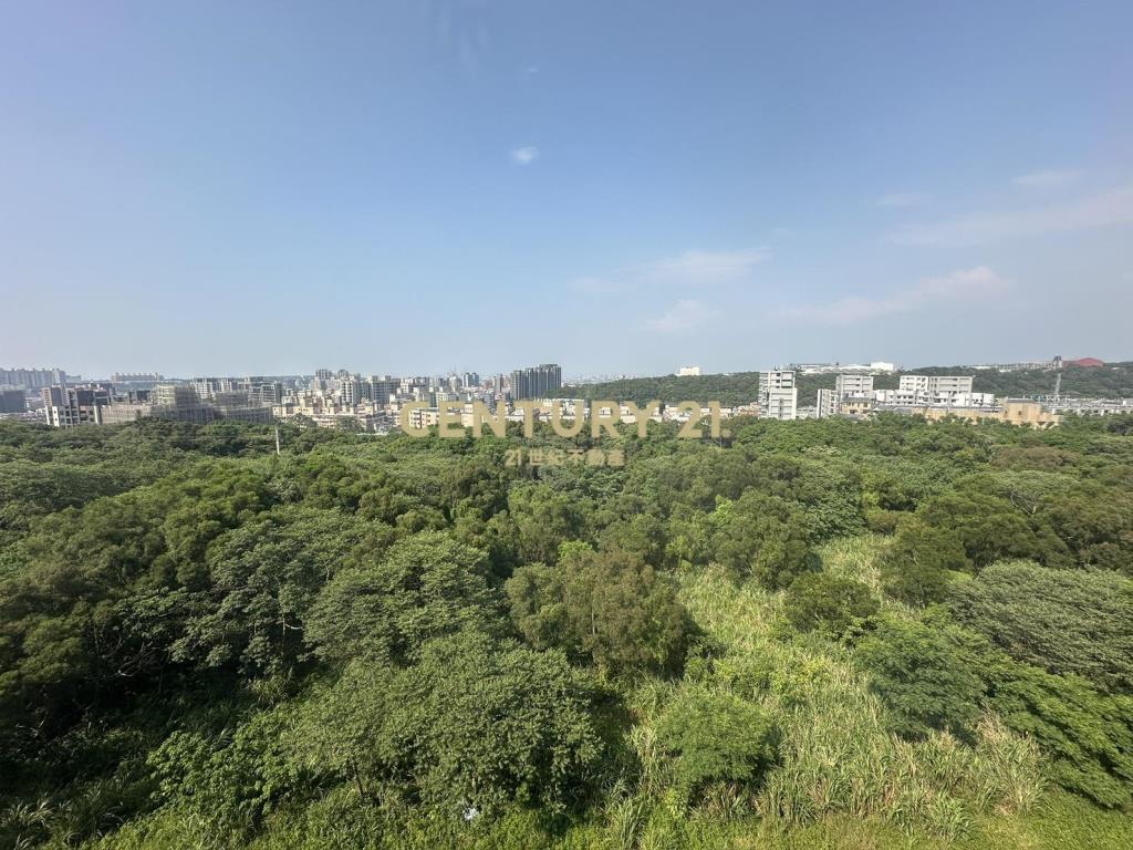 金溪特區櫻花旭C棟景觀2房車