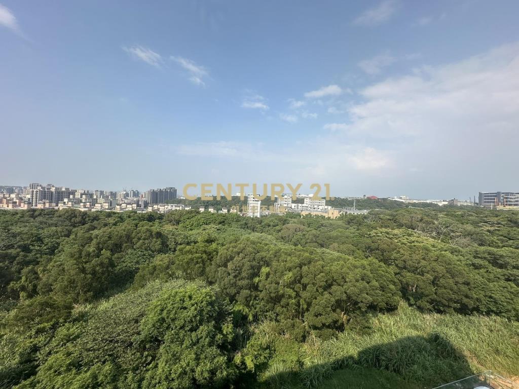 🌸金溪特區櫻花旭D棟景觀4房車