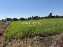 新竹新豐鄉福興段後湖子小段美農地709坪