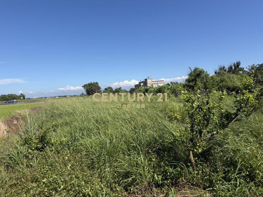 新竹新豐鄉福興段後湖子小段美農地384坪