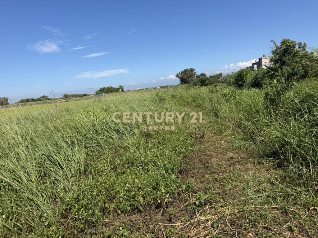 新竹新豐鄉福興段後湖子小段美農地384坪
