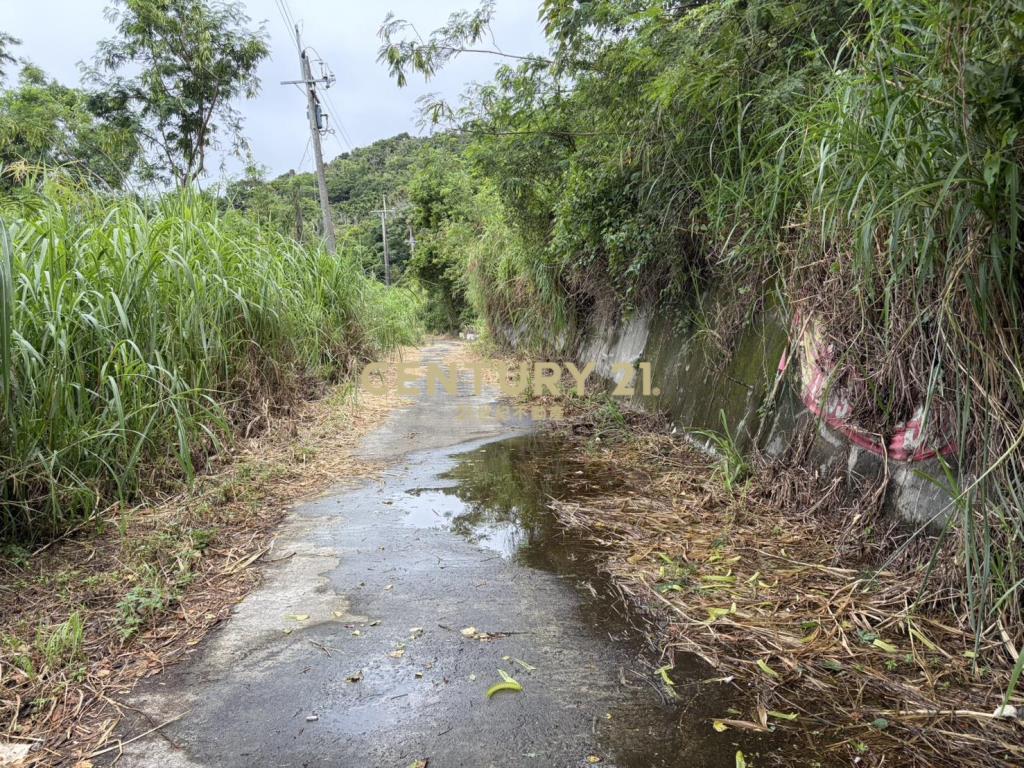 台東石雨傘風景用地