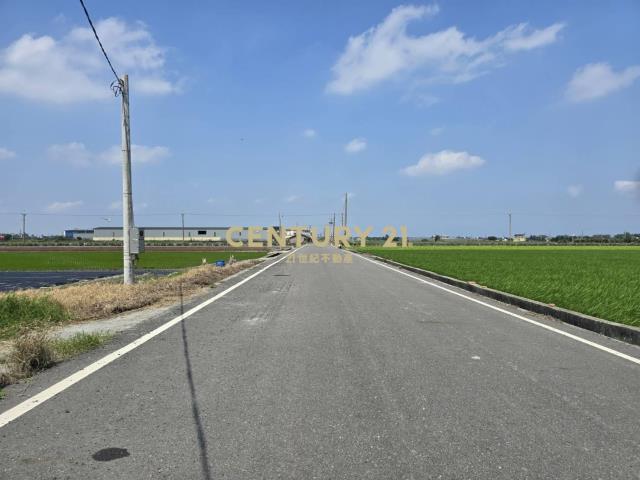 臺山段七米道路旁一般農
