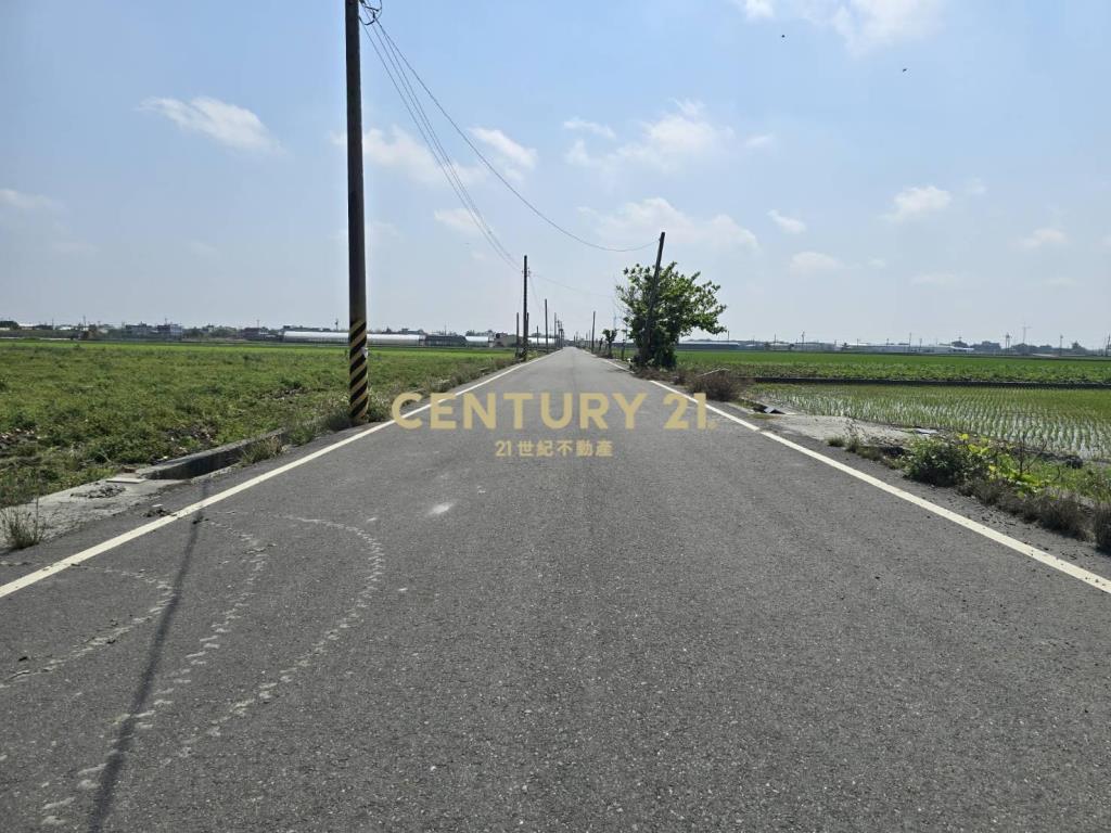 臺山段七米道路旁一般農