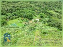 近龍科6000多坪一般農