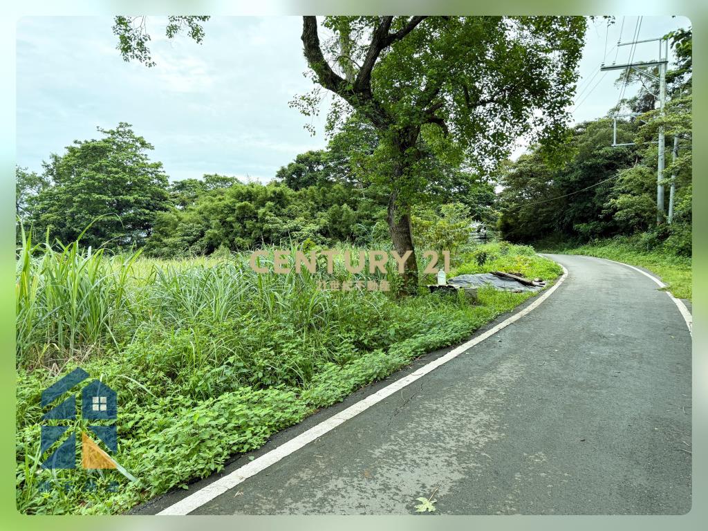 近龍科6000多坪一般農