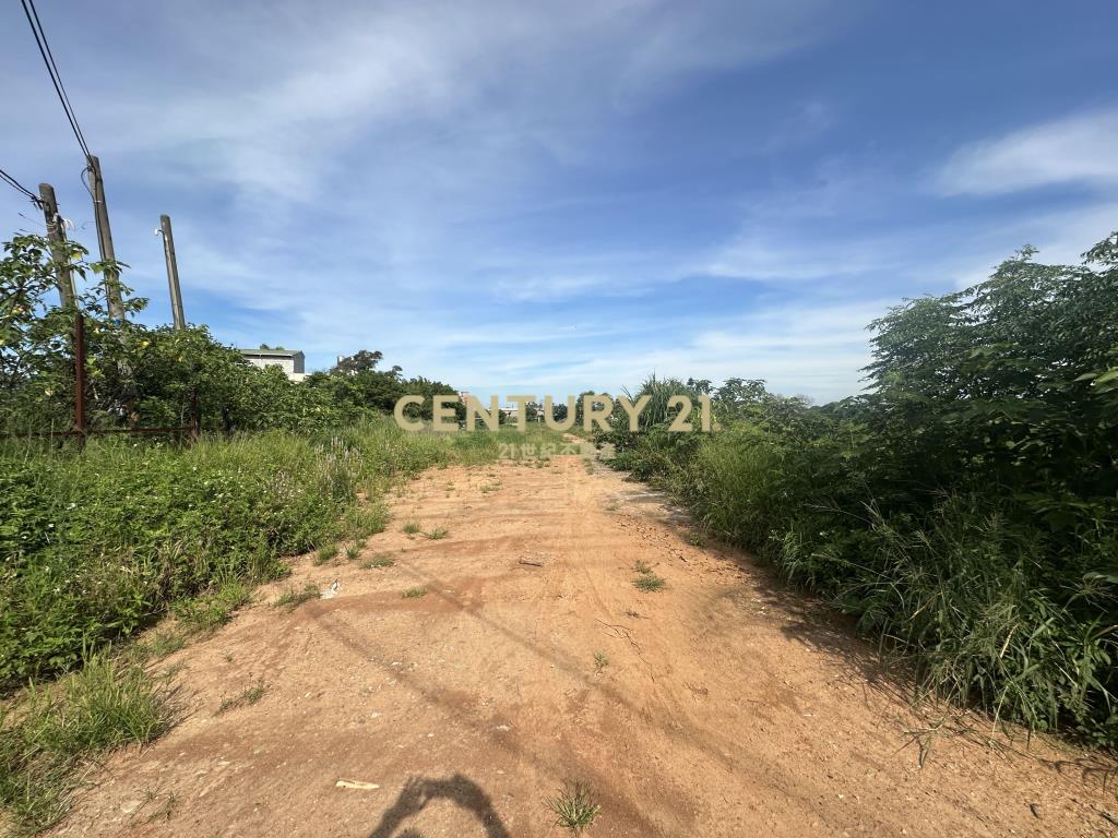 梅高路臨路一般農地