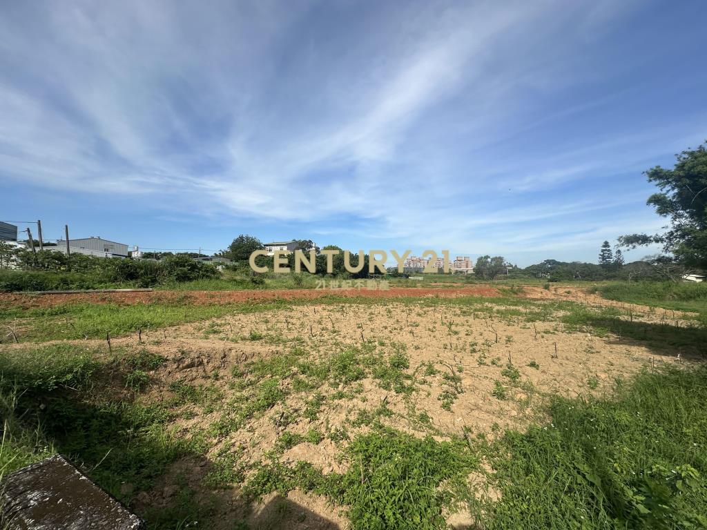梅高路臨路一般農地
