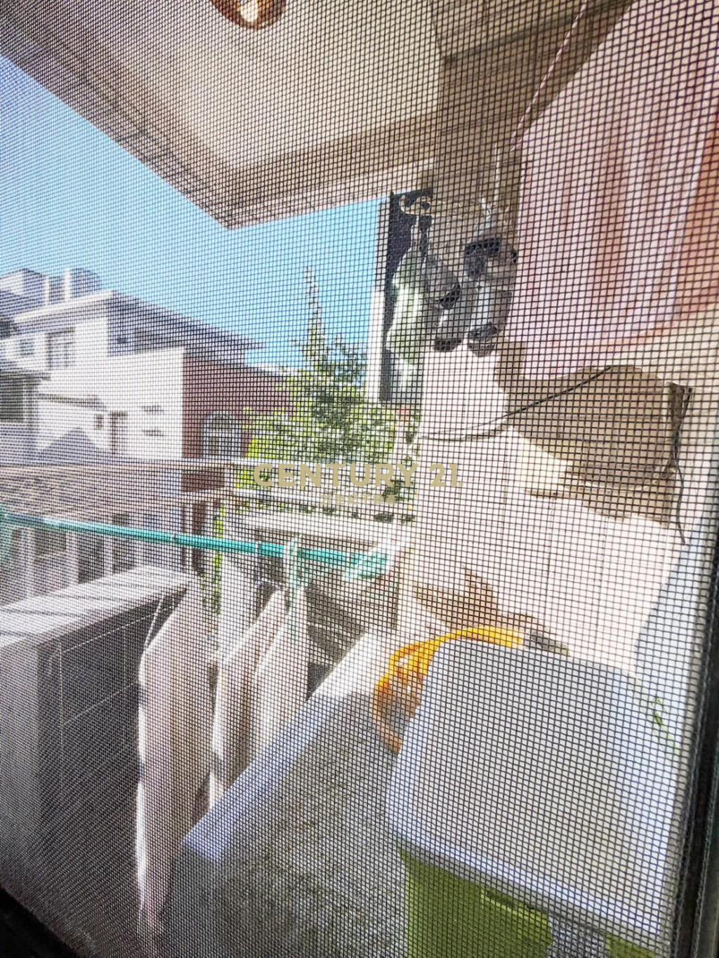 近楊梅體育園區夏威夷2房車