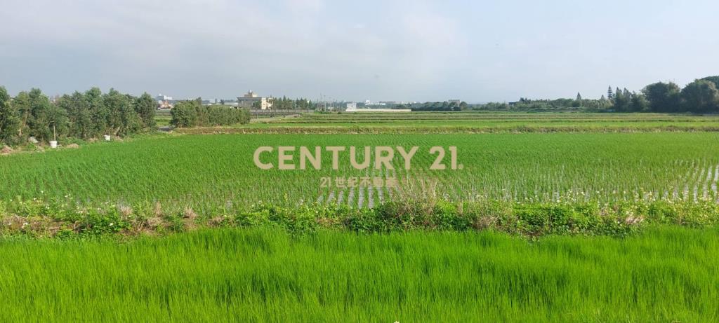 大坡國小方正美農地