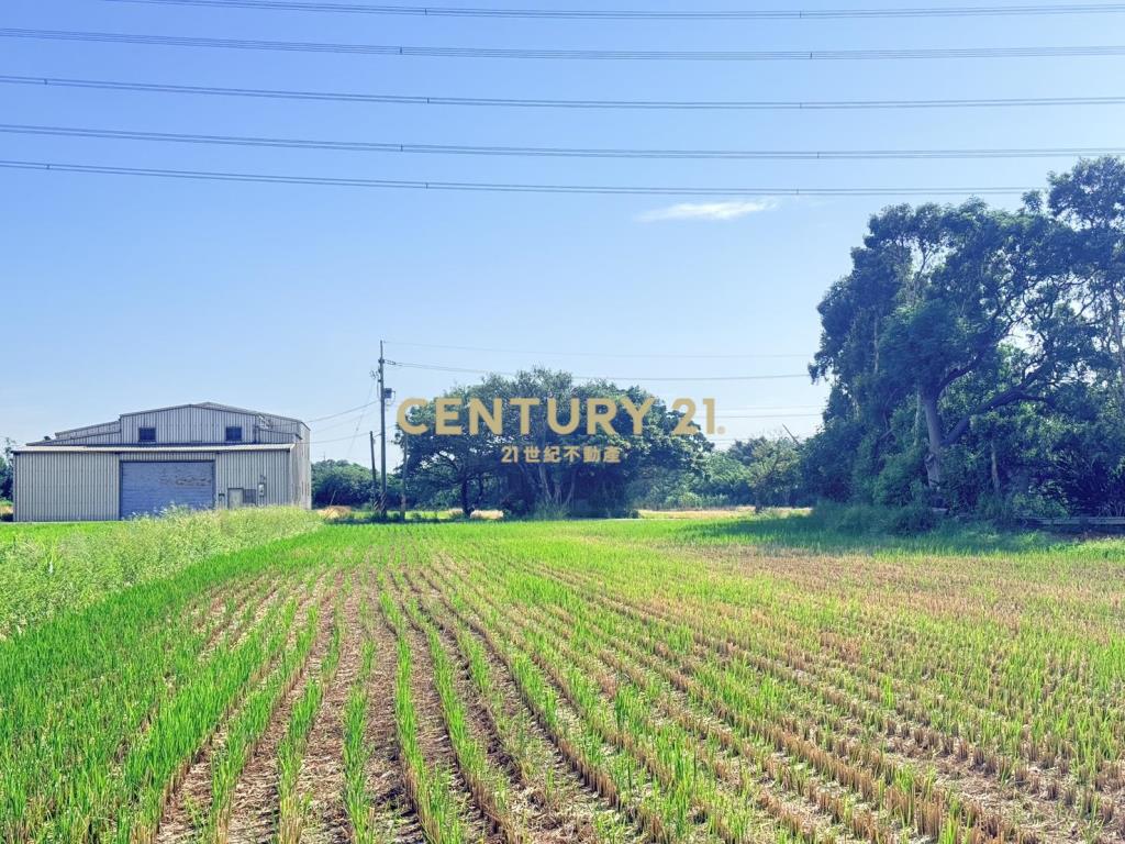 新屋埔頂段雙面臨路6米&3米