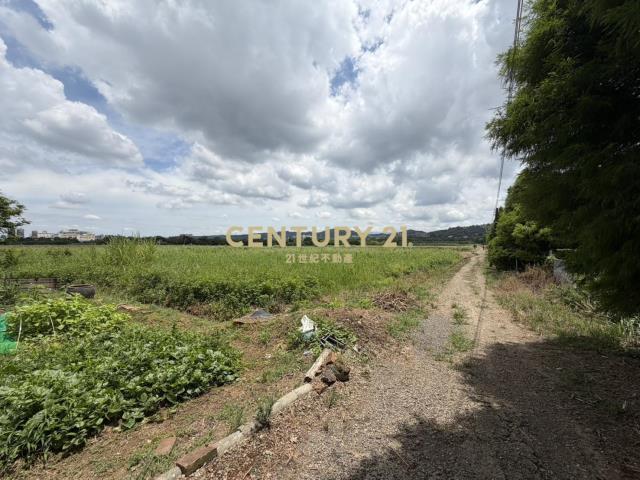 楊梅省道旁甡甡段都內農2427坪