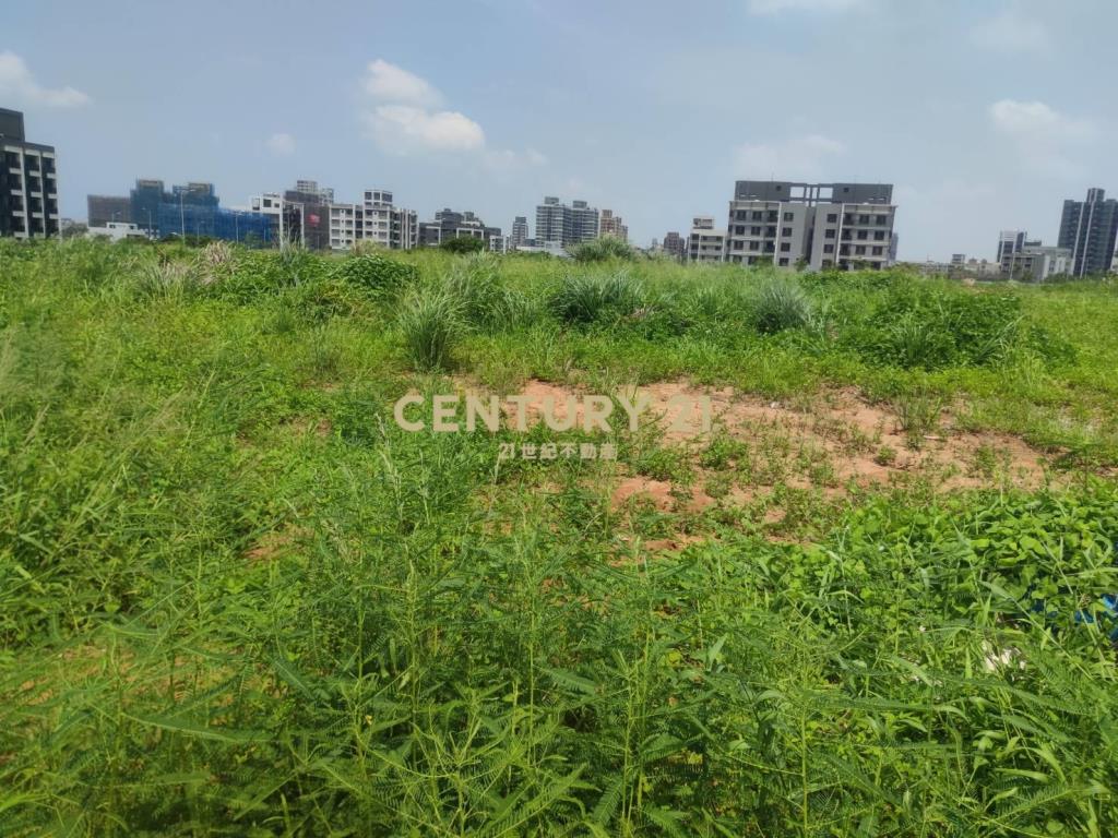 觀音草漯建地