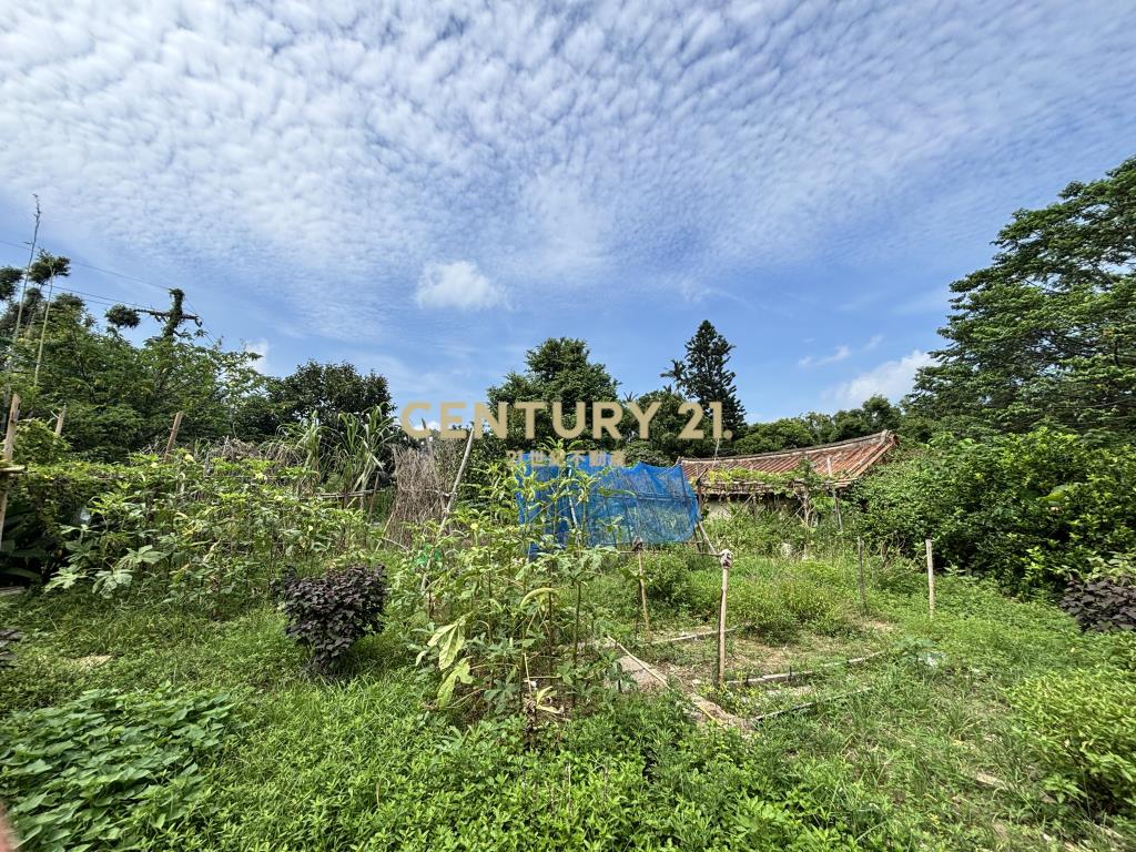 水美段都內農＋都內農建＋甲建＋特農