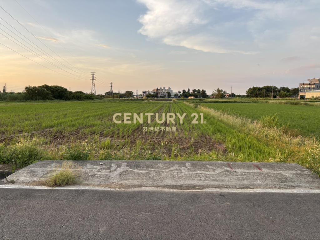 907坪上湖平坦農地
