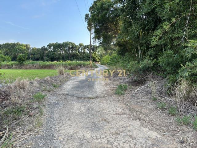 873坪楊梅休閒農地