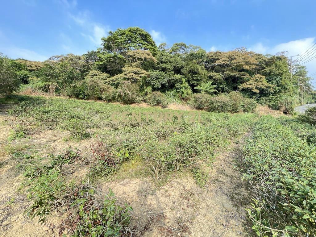 正臨老莊路大面寬美地