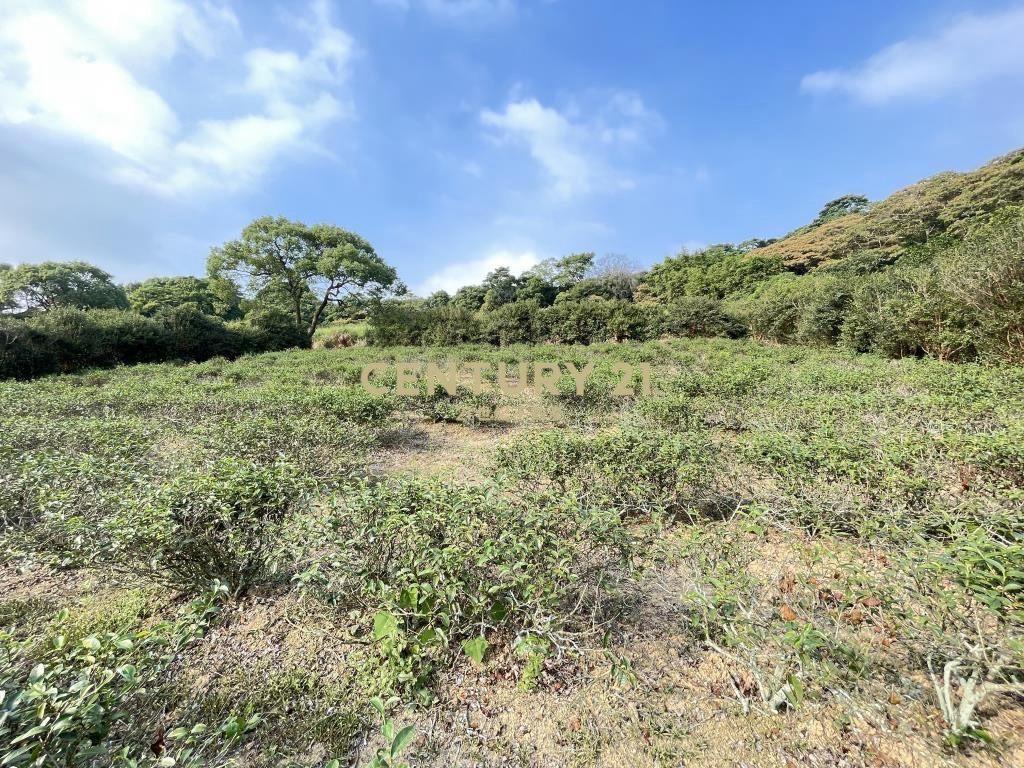 正臨老莊路大面寬美地