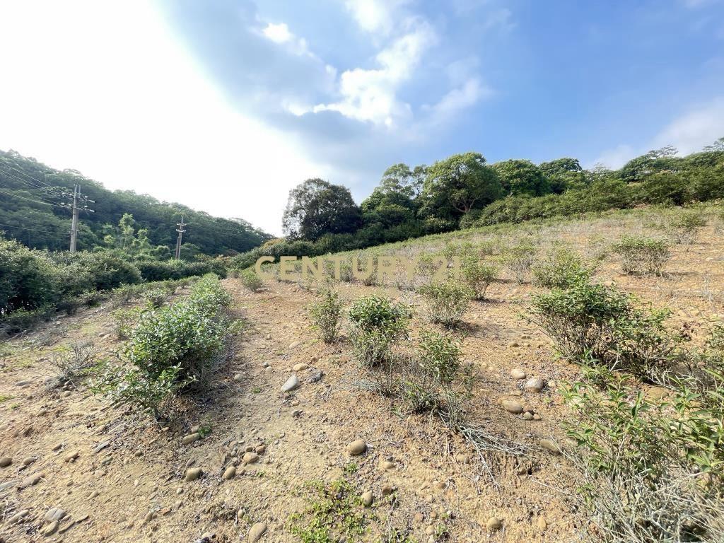 正臨老莊路大面寬美地