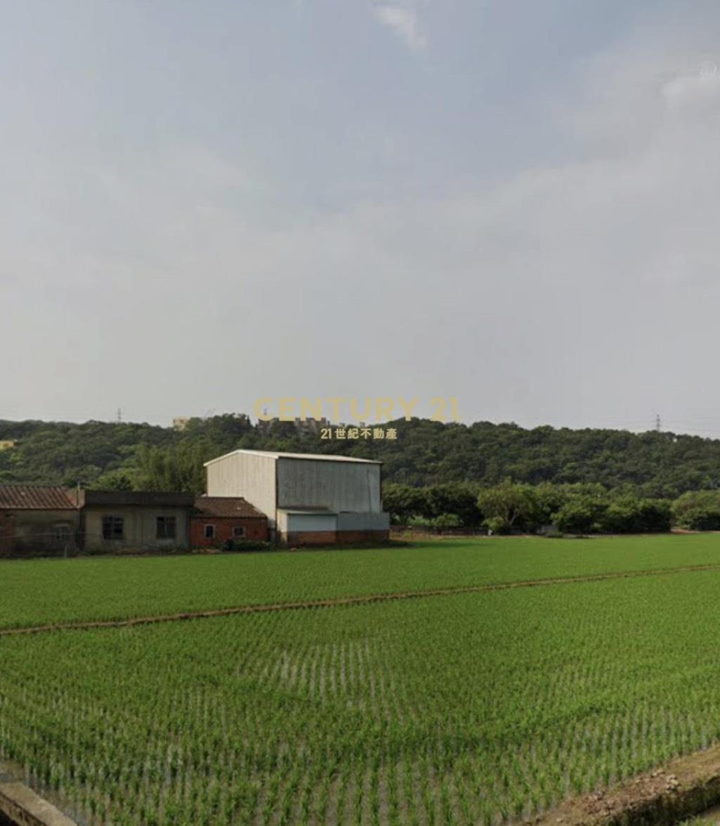 楊梅近省道都內田