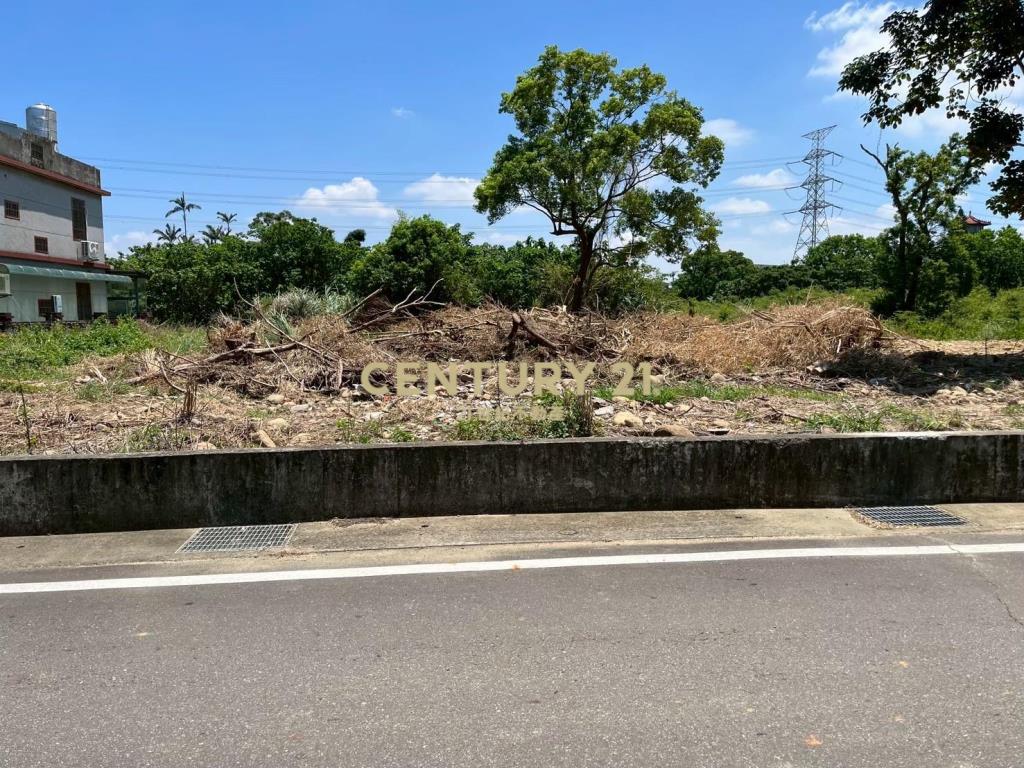 楊梅區民豐段農+建109坪