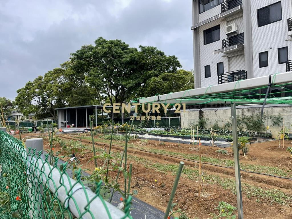 龍潭文化段都內農地211坪