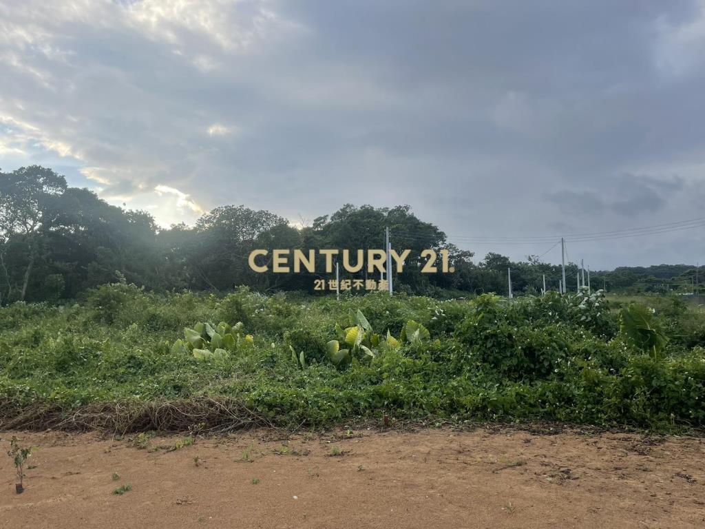 龍潭文化段都內農地211坪