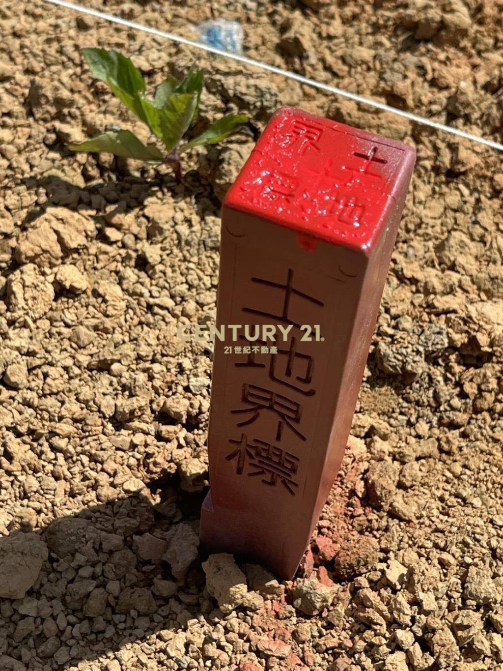 龍潭文化段都內農地211坪
