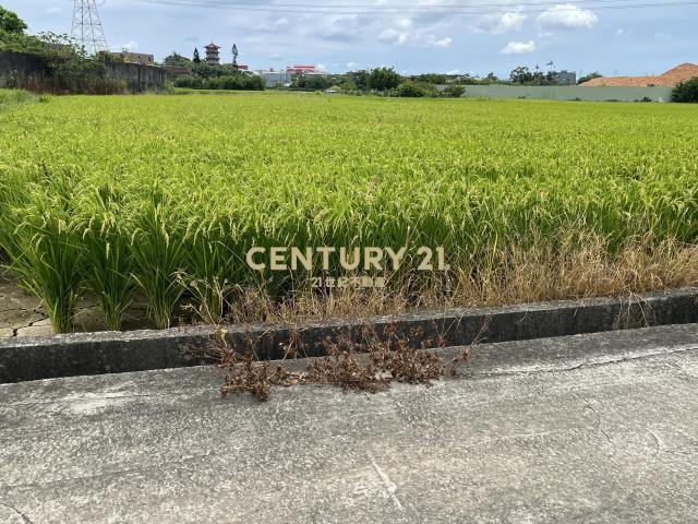 楊梅民豐段方正農地