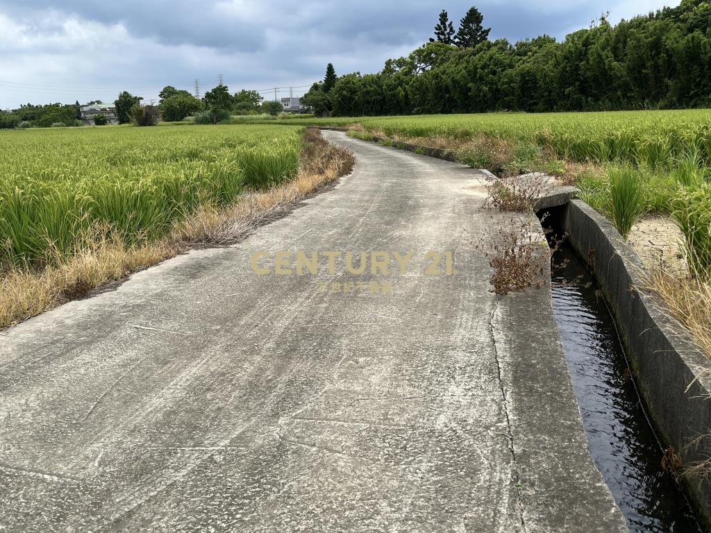 楊梅民豐段方正農地