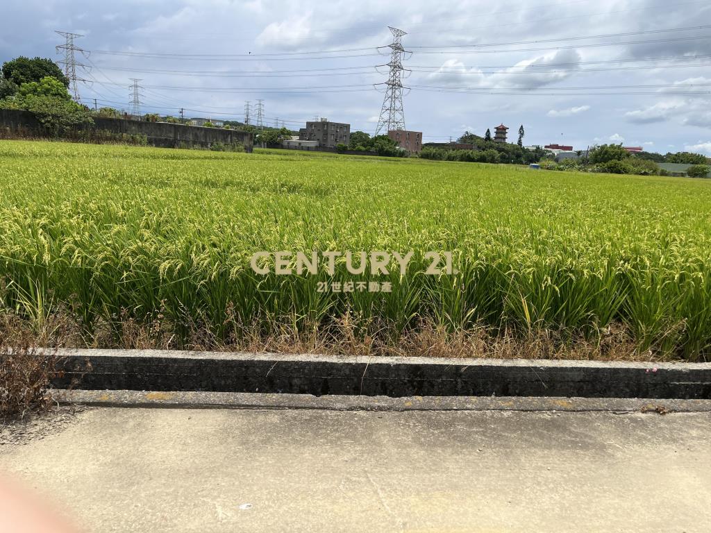 楊梅民豐段方正農地