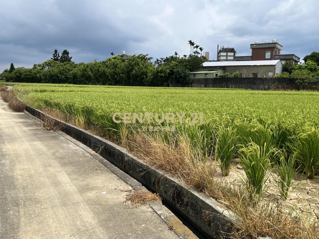 楊梅民豐段方正農地