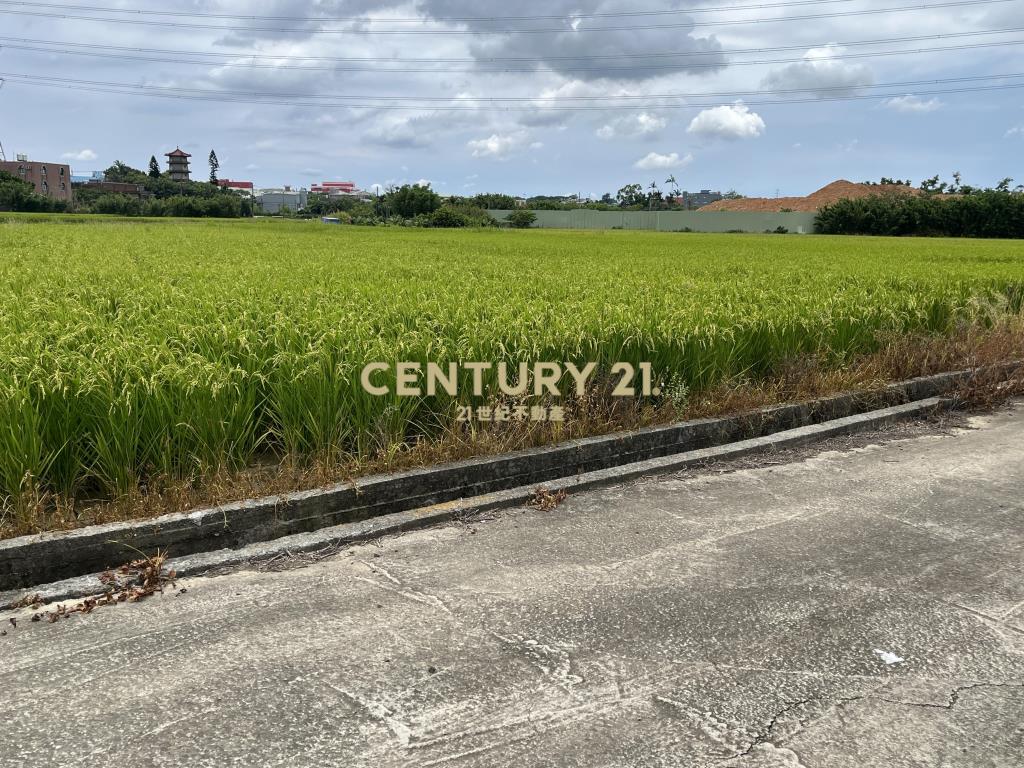 楊梅民豐段方正農地