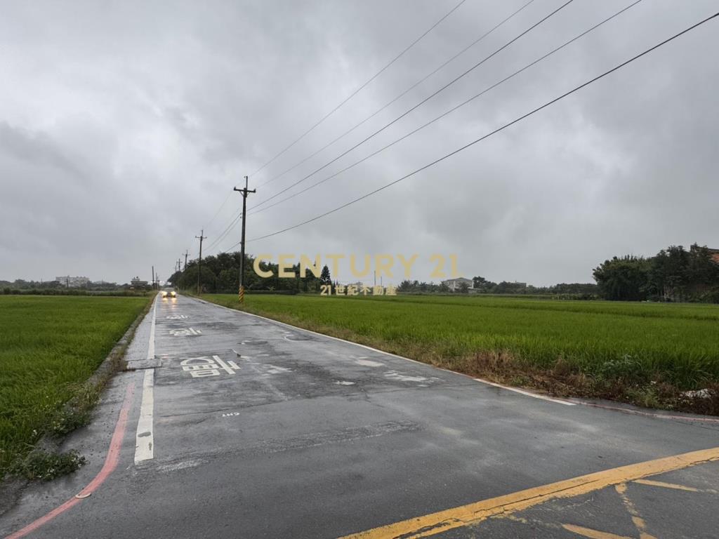 楊湖路富民街143巷295坪農地
