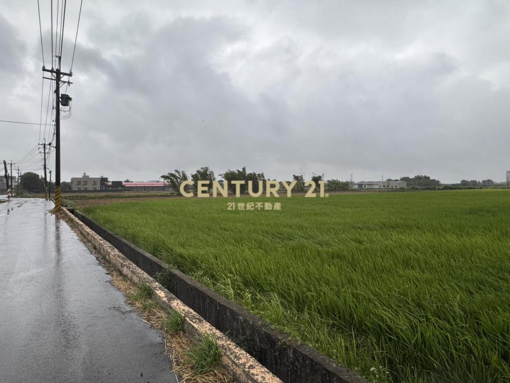 楊湖路富民街143巷295坪農地